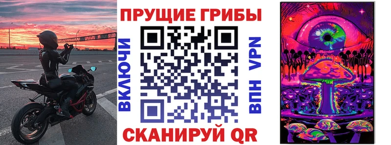 Галлюциногенные грибы Psilocybe  даркнет сайт  Белинский 